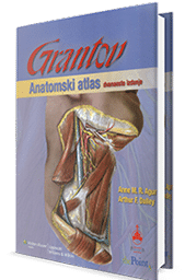 ANATOMSKI ATLAS-GRANT